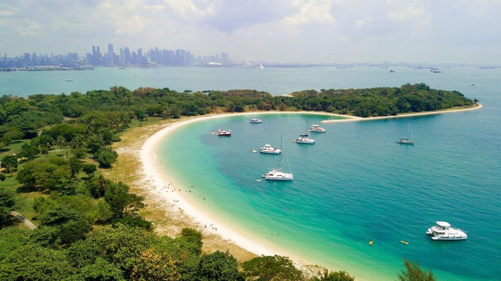 TRIBE YACHT CHARTER