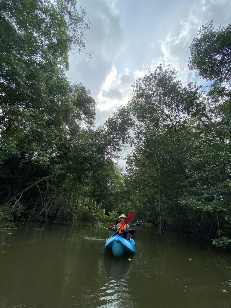 Kayak Tour Singapore